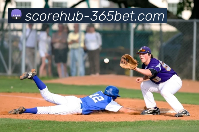 辅助工具 辅助工具